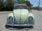 1961 Volkswagen Bug Picture 3