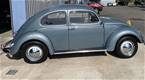 1955 Volkswagen Beetle Picture 3