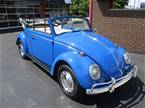 1965 Volkswagen Beetle Picture 3