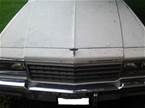 1984 Chevrolet Caprice Picture 3