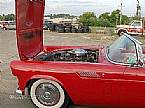 1956 Ford Thunderbird Picture 3