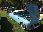 1956 Ford Thunderbird Picture 3