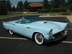 1957 Ford Thunderbird Picture 3