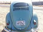 1956 Volkswagen Beetle Picture 3