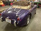 1961 Austin Healey Sprite Picture 3