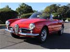 1960 Alfa Romeo Spider Picture 4