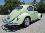 1961 Volkswagen Bug Picture 4