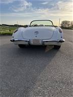 1960 Chevrolet Corvette Picture 4