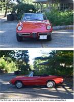 1966 Alfa Romeo Spider Picture 4