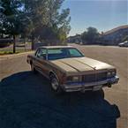 1979 Chevrolet Caprice Picture 4