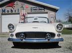 1956 Ford Thunderbird Picture 4