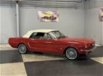 1965 Ford Mustang Picture 4