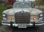 1966 Mercedes 230S Picture 4