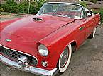 1956 Ford Thunderbird Picture 4