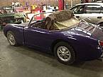 1961 Austin Healey Sprite Picture 4