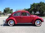 1966 Volkswagen Beetle Picture 5