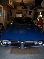 1967 Pontiac Firebird Picture 5