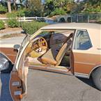 1979 Chevrolet Caprice Picture 5