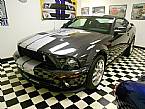 2007 Ford Shelby Picture 6