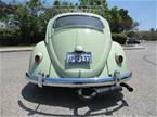 1961 Volkswagen Bug Picture 6