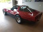 1981 Chevrolet Corvette Picture 6