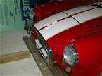 1966 Shelby Cobra Picture 6