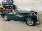 1965  Austin Healey 3000 Picture 7