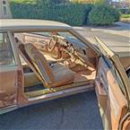 1979 Chevrolet Caprice Picture 7