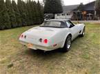 1974 Chevrolet Corvette Picture 7