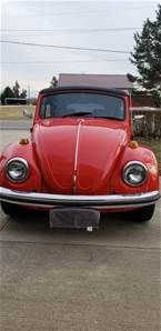 1968 Volkswagen Beetle Picture 7