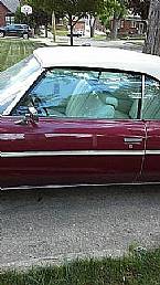 1975 Chevrolet Caprice Picture 8