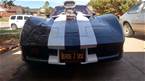 1981 Chevrolet Corvette Picture 8