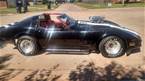 1981 Chevrolet Corvette Picture 8